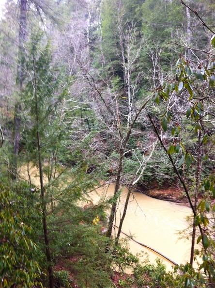 Swift Camp Creek Trail - 3.jpg